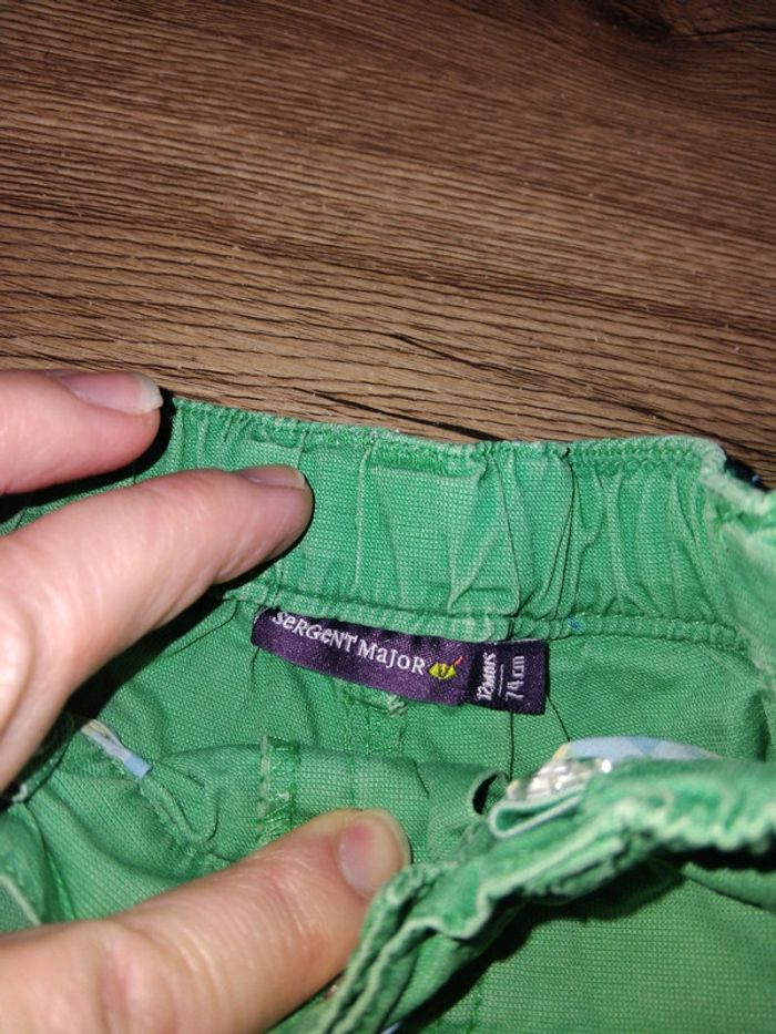 Bermuda sergent major - photo numéro 4