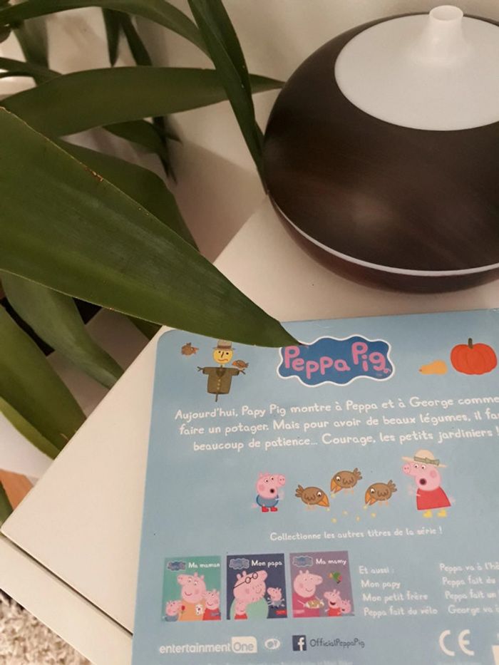 Livre Peppa Pig 🌿💞 - photo numéro 3