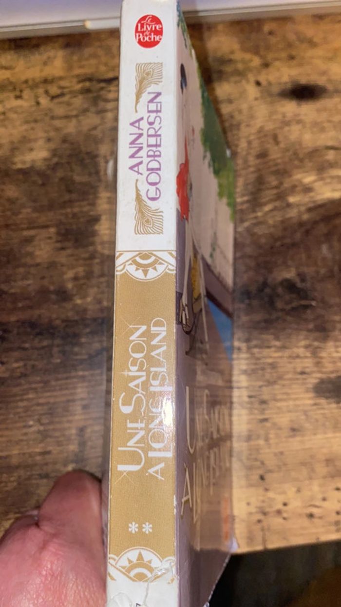 une saison  à long island - photo numéro 3