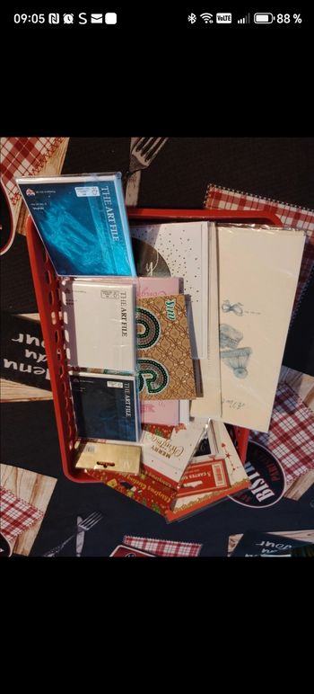 Lot de 25 cartes de vœux 