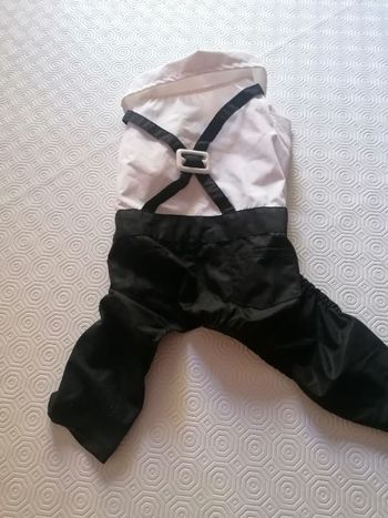 Joli smoking pour chien taille M yorkshir etc neuf