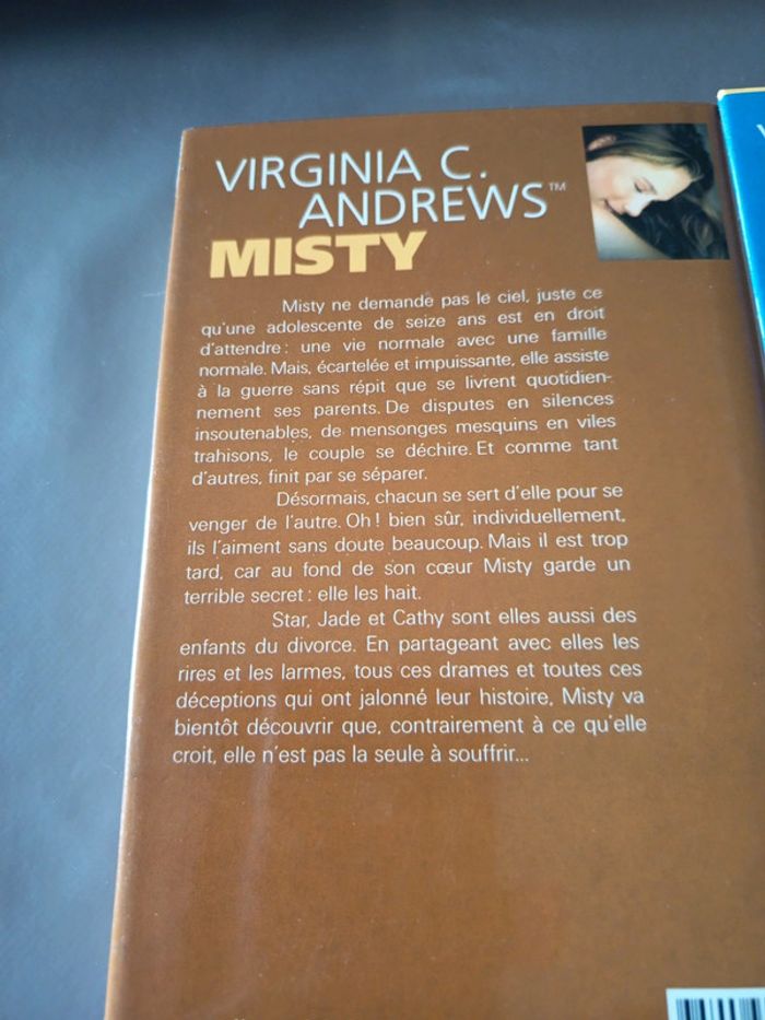 Lot livre Misty,Star,Jade - photo numéro 2