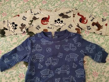 Lot de 2 Sweats bébé 3 mois