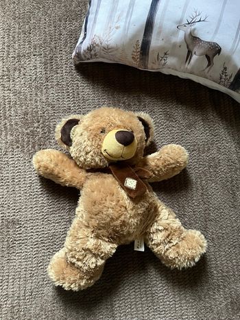 Ours en peluche