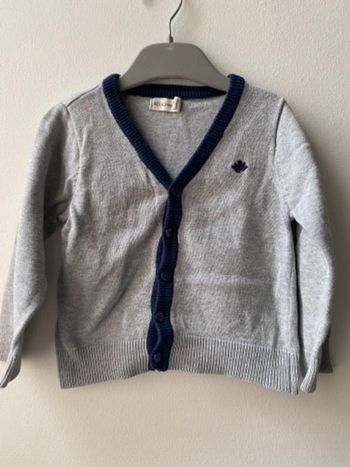 Gilet gris