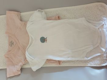 Bodies