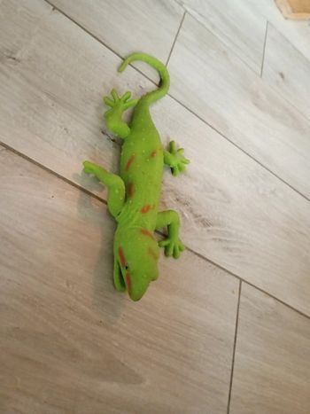 Jouets lézard
