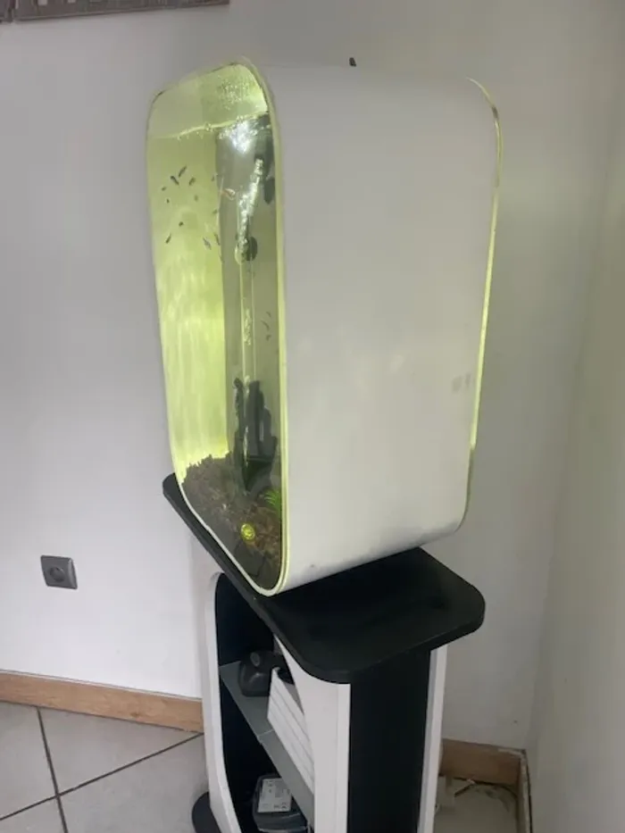 Aquarium biorb - photo numéro 3