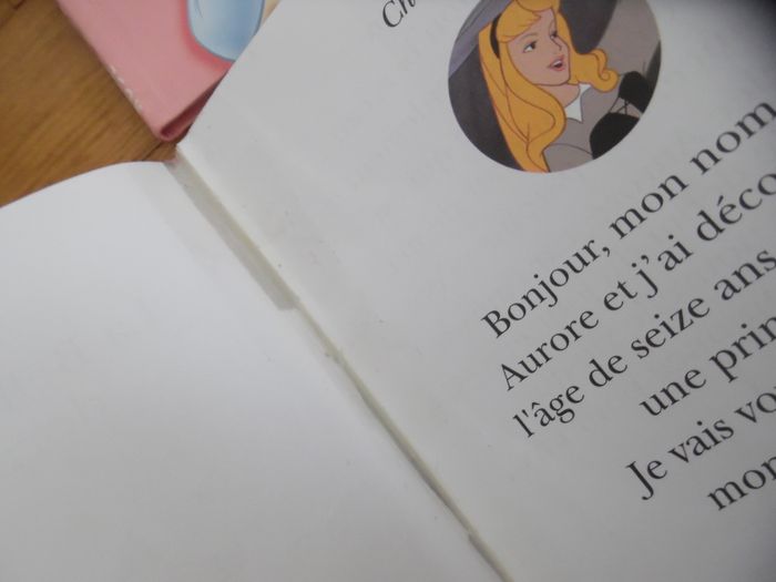 Ma princesse préférée - photo numéro 3