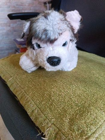 Peluche chiot husky