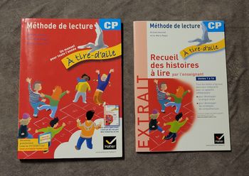 Méthode de lecture CP - A tire-d'aile Richard Assuied