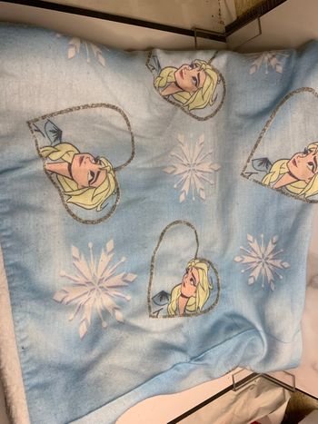 Cache cou reine des neiges