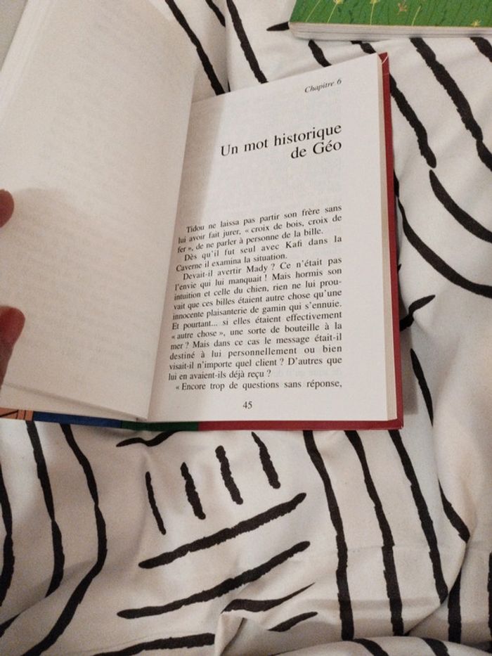 Livre Les 6 compagnons hors la loi - photo numéro 5