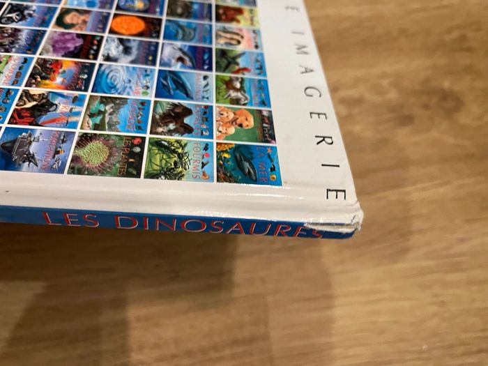 Livre sur les dinosaures 🦖 - photo numéro 4
