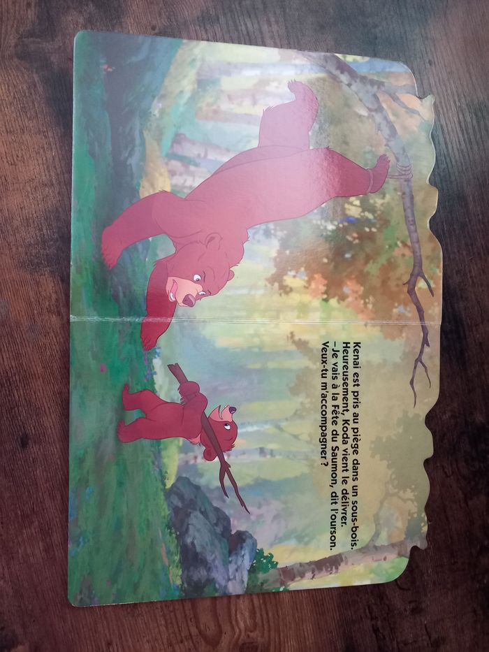 Frère des ours Disney - photo numéro 3