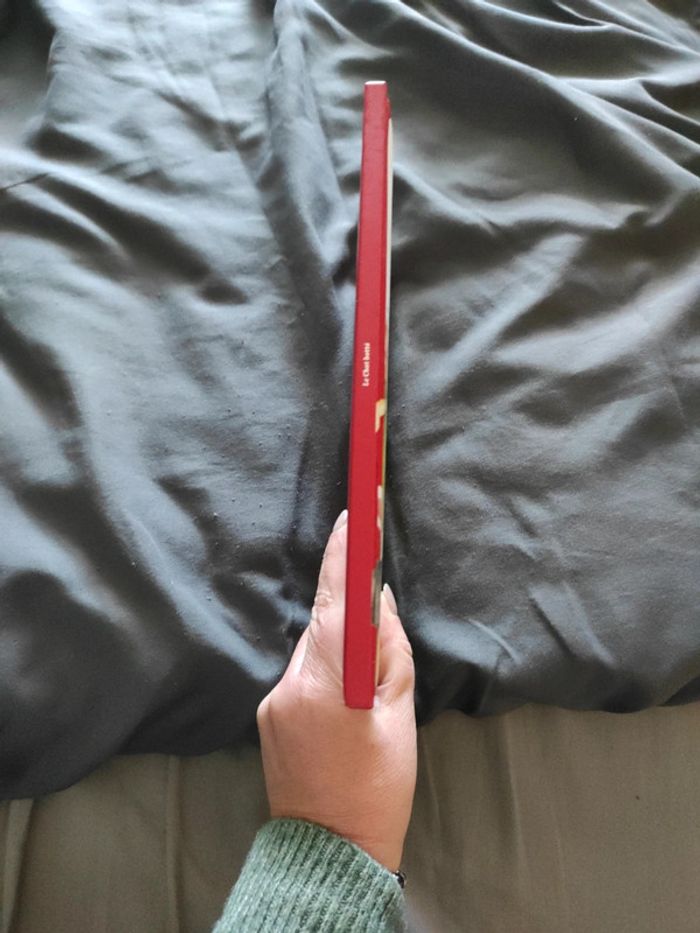 Le chat botté - photo numéro 3