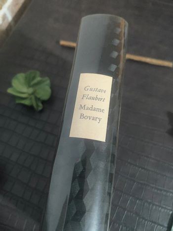 Madame Bovary - Gustave Flaubert