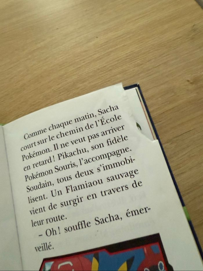 Livre Pokémon un drôle de Flamiaou - photo numéro 3