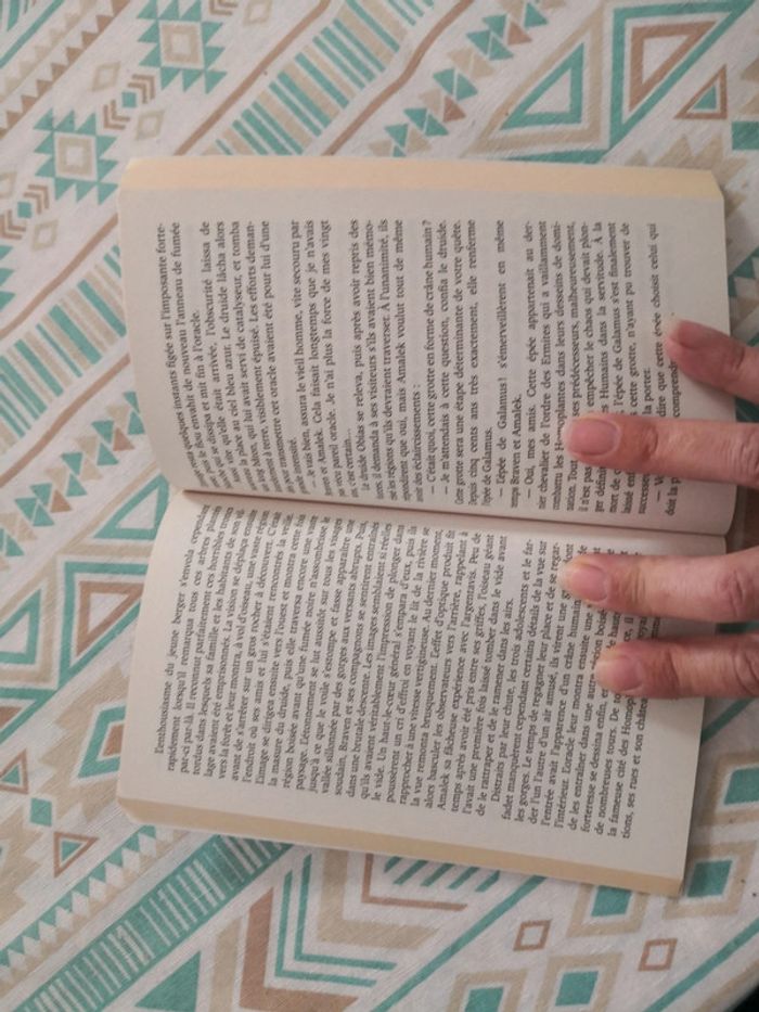 Livre enfant les chroniques de Braven Oc - photo numéro 3
