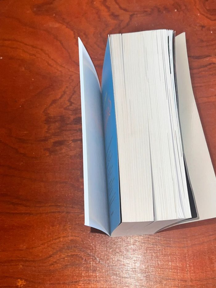 Manga Le Voyage de Chihiro - photo numéro 2