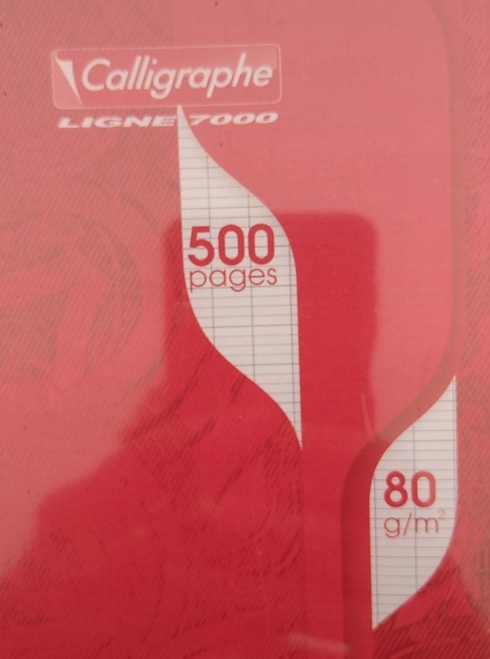 500 Copies Doubles Calligraphe - photo numéro 2