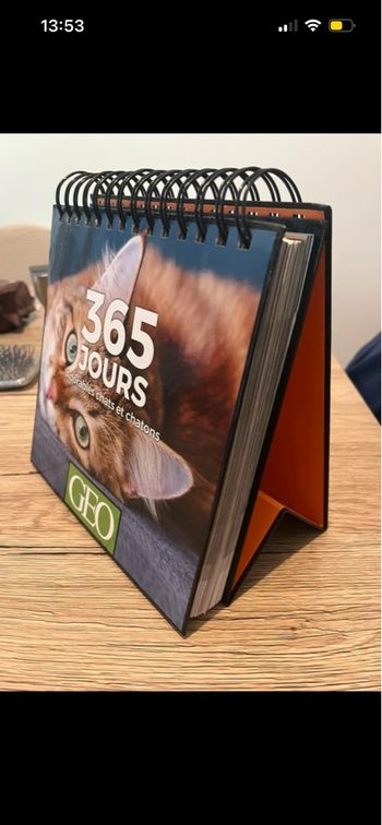 Livre 365 jours Chats