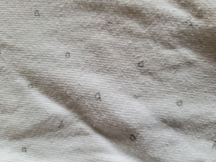 Bodie - photo numéro 3