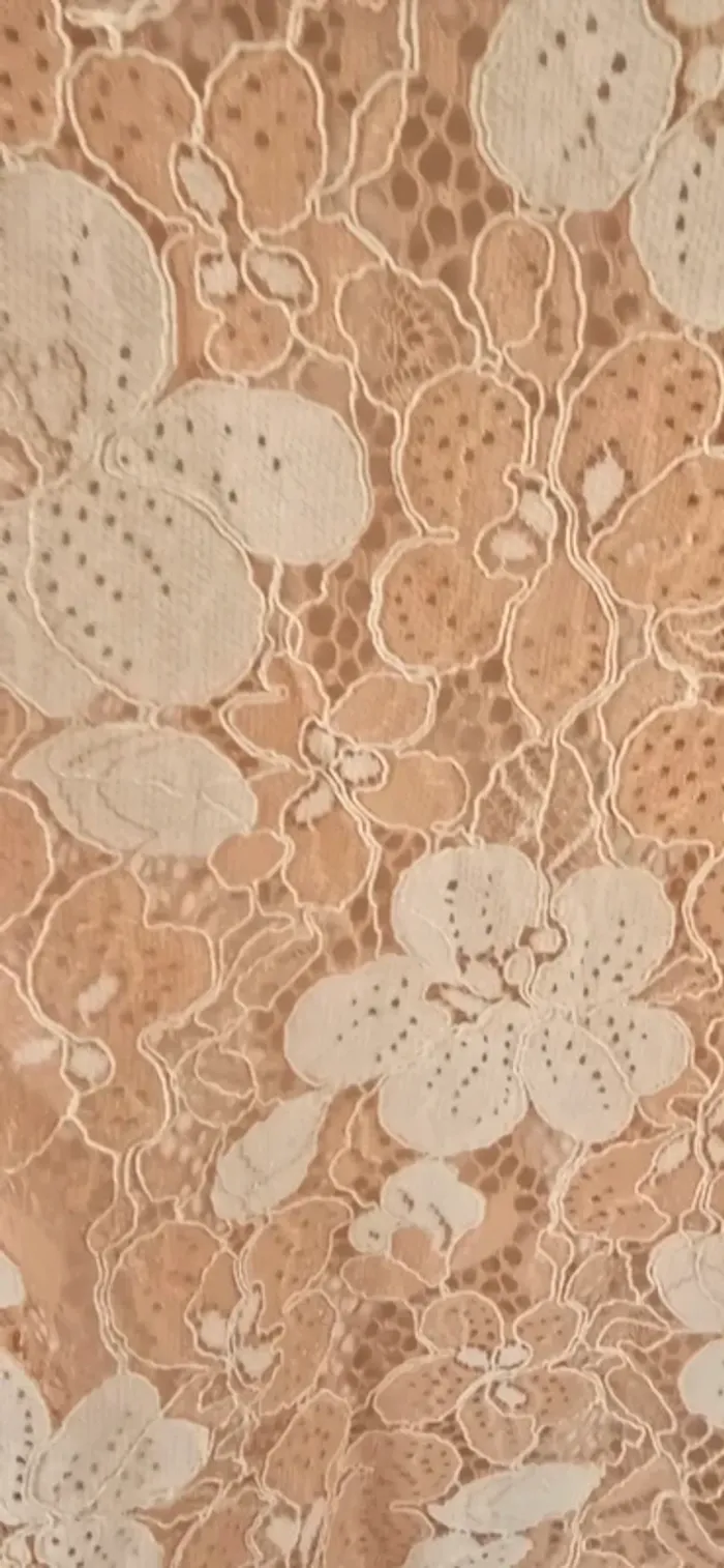 Haut blouse dentelle neuf IRL - photo numéro 6