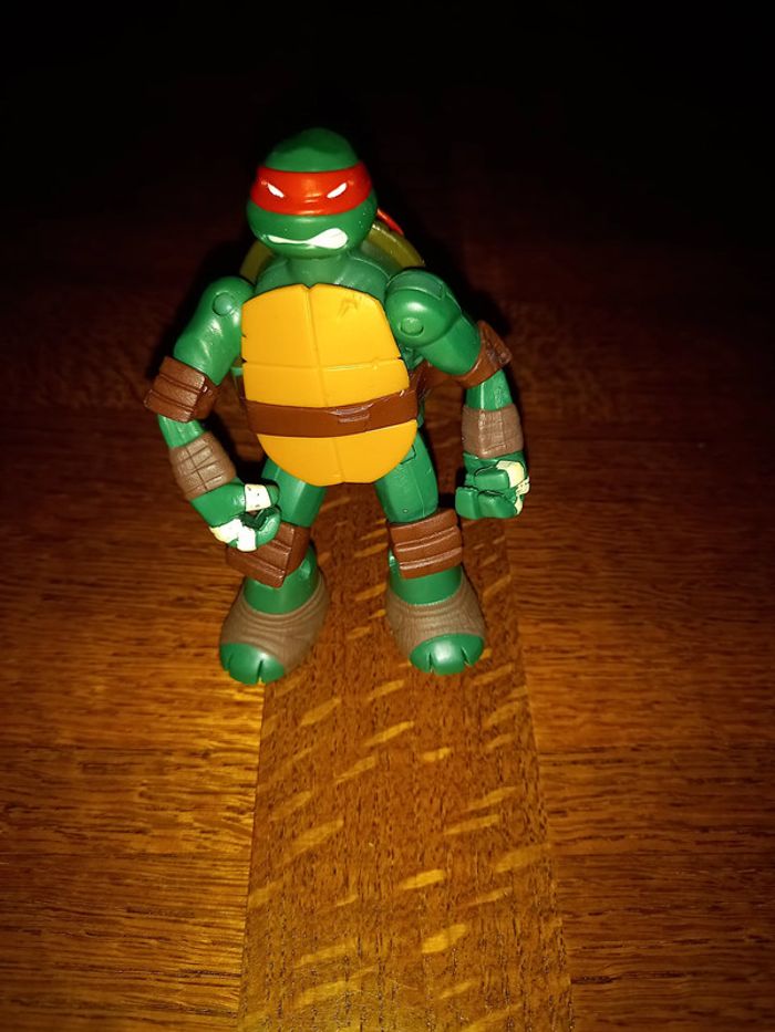 Tortue ninja