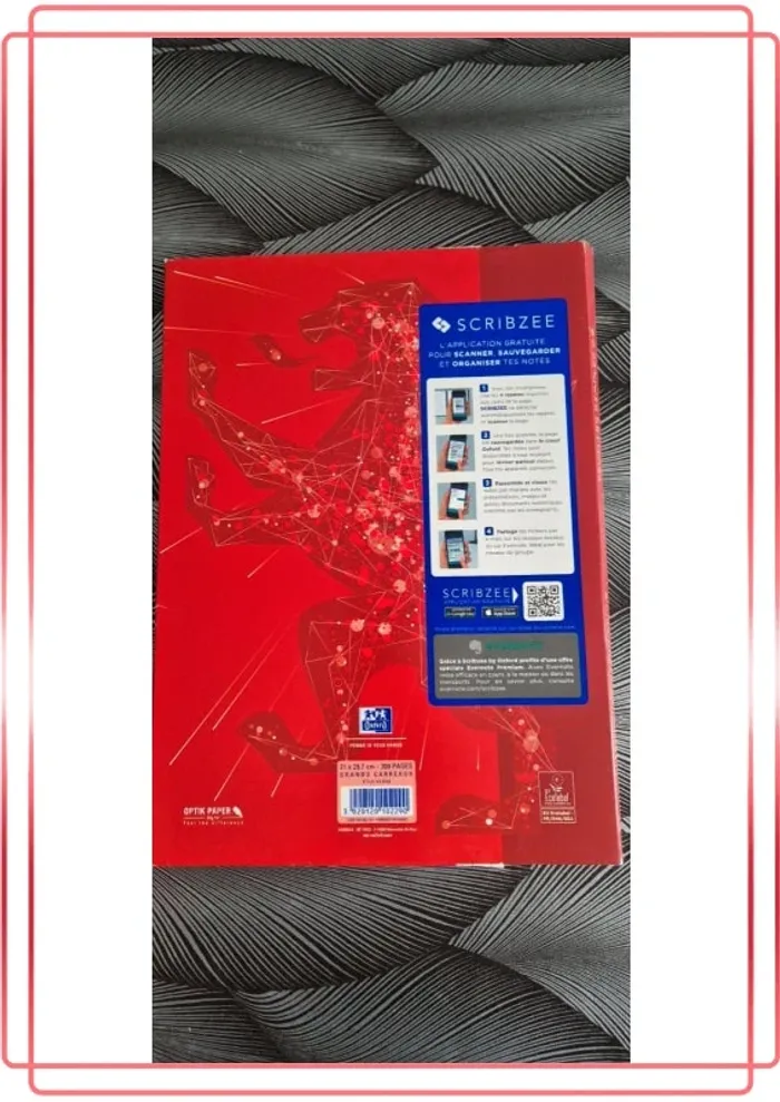 Feuilles a4 - photo numéro 2