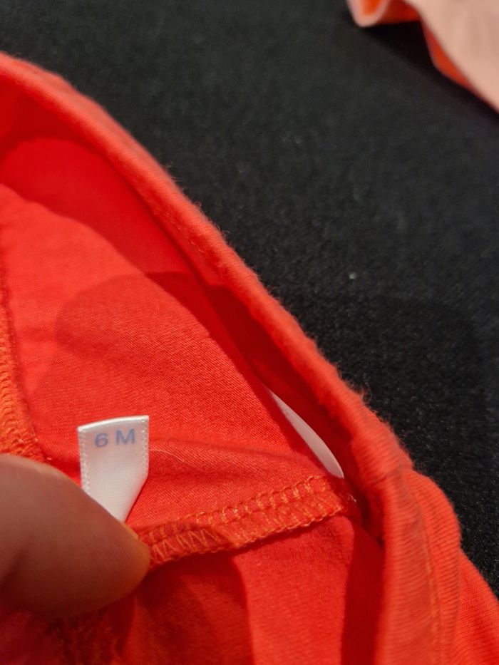 Short 6 M - photo numéro 4