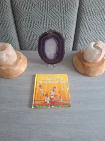 Livre Mcdo le spectacle de gymnastique