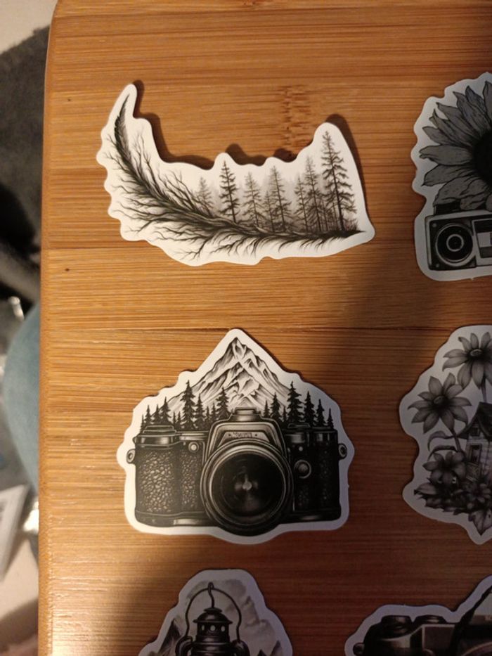 Stickers décors paysages en noirs et blancs - photo numéro 8