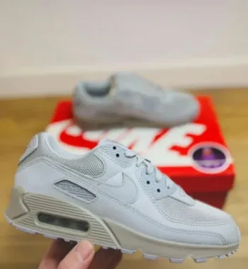 Nike Air Max 90 Grey Wolf Taille 38.5