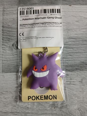 Porte clés pokemon
