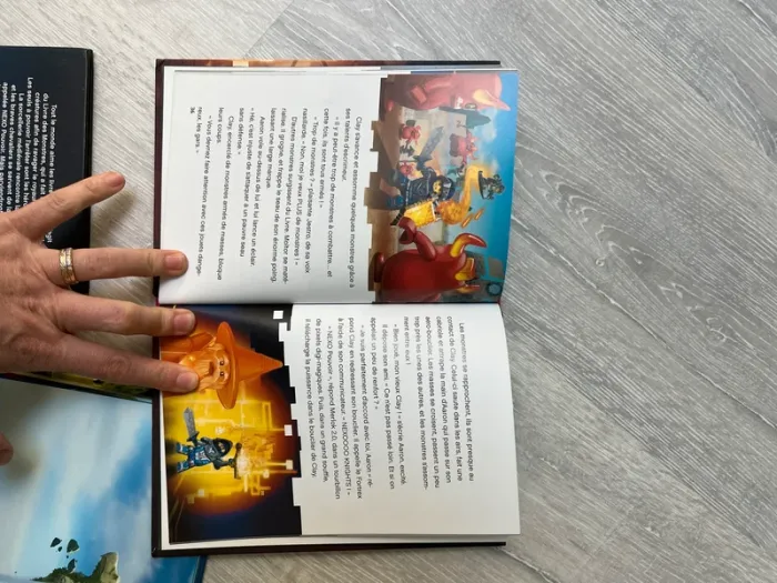 Lot 3 livres lego - photo numéro 5