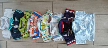 Lot de polos mc 12 mois