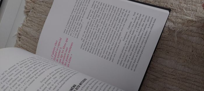 Livre Catherine Ringer et les
Rita Mitsouko - photo numéro 5