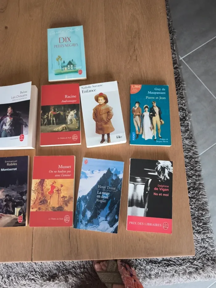 Lot de 13 livres de littérature classique - photo numéro 3