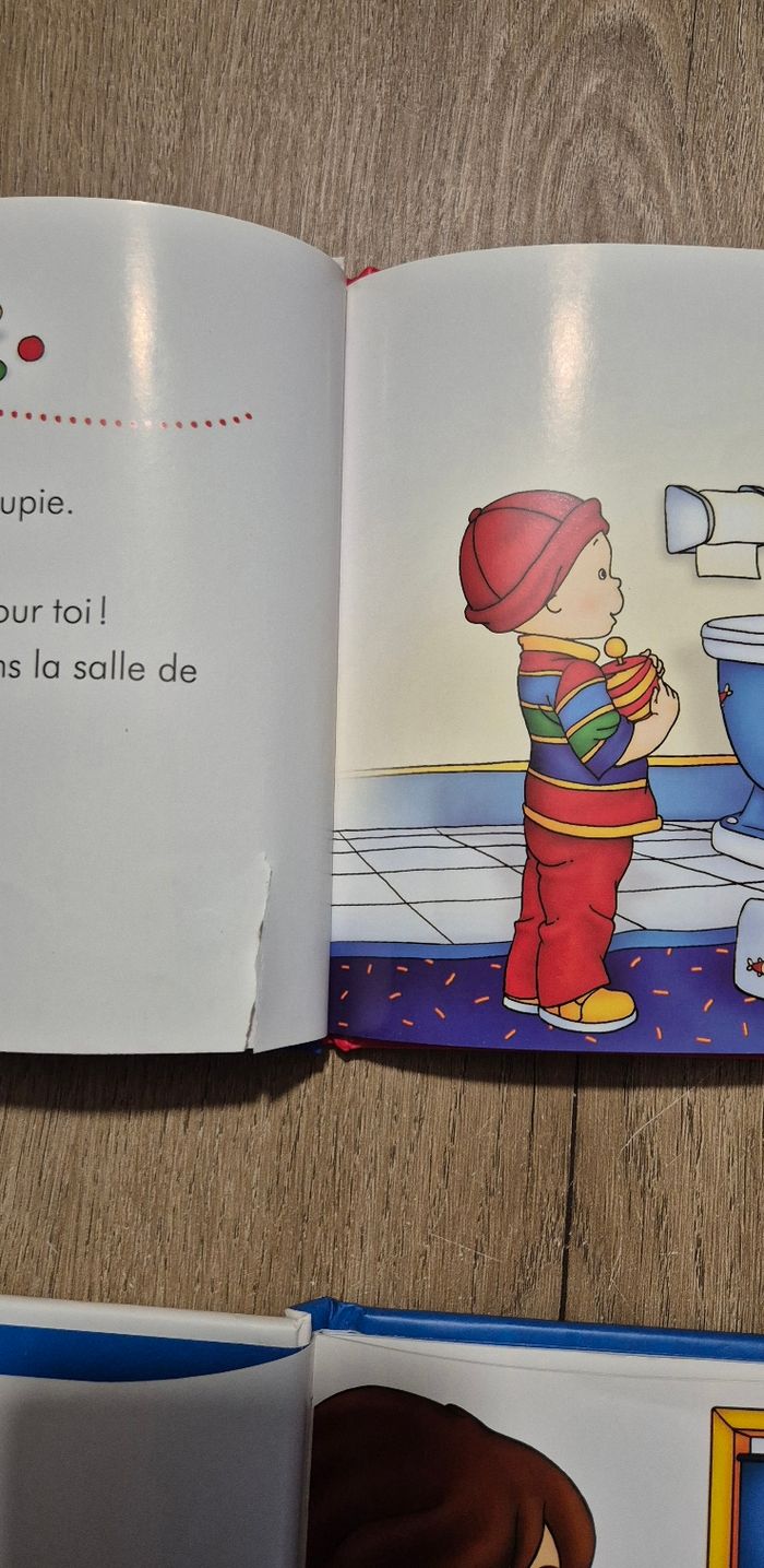 Lot livres Caillou - photo numéro 3