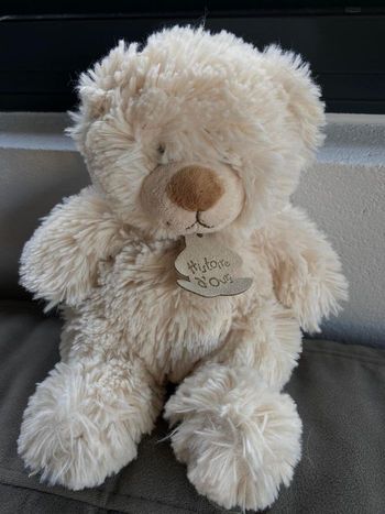 Peluche histoire d’ours 20cm Très bon état