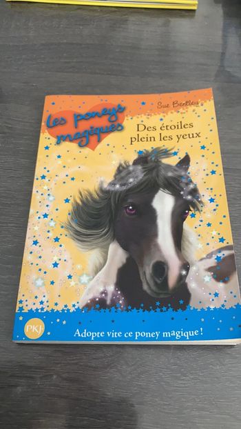 Les poneys magiques tome 3
