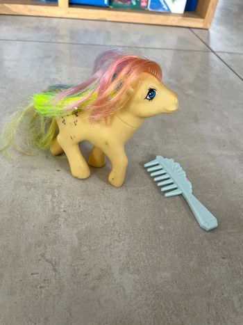 Petit poney arc-en-ciel