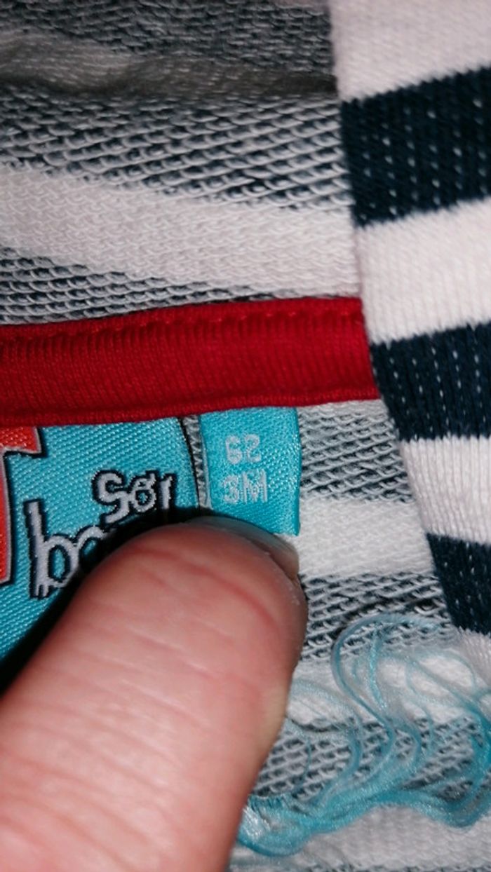 Pull ligné - photo numéro 2