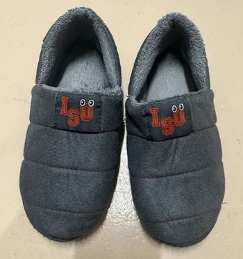 Chaussons Isotoner taille 34