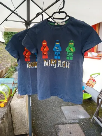 Lot lego ninjago jumeaux