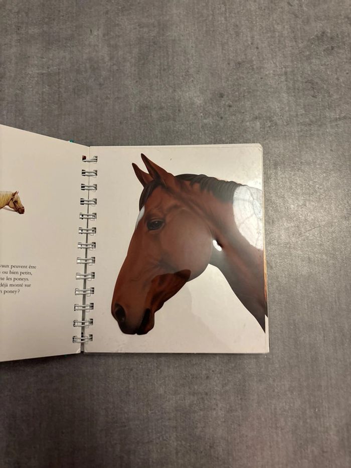 Livre mes premières découvertes le cheval - photo numéro 3