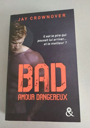 Bad Amour dangereux