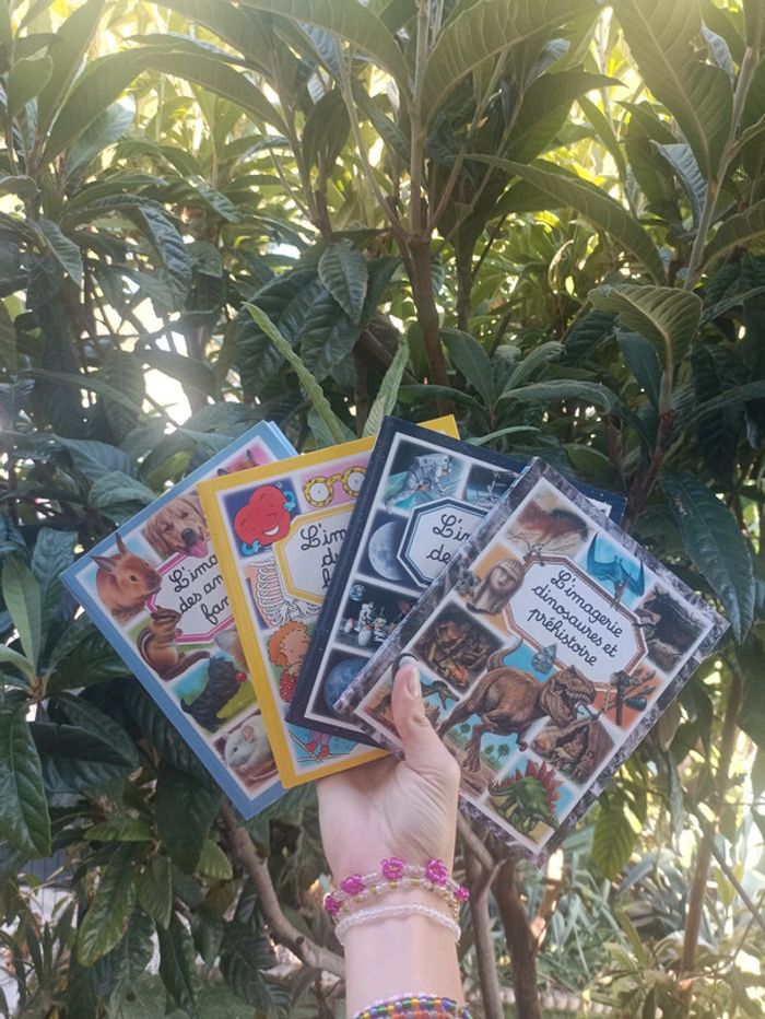 Lot de 4 petits livres l'imagerie en format de poche.