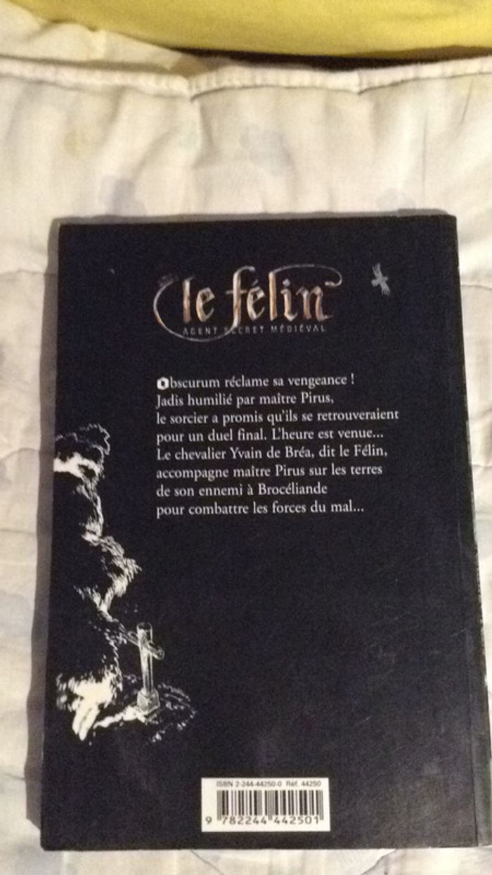 #le félin agent secret médiéval, le sorcier de Brocéliande par Arthur Ténor - photo numéro 4